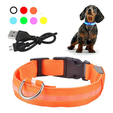 Load image into Gallery viewer, LED Glowing Collar