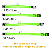 Load image into Gallery viewer, LED Glowing Collar
