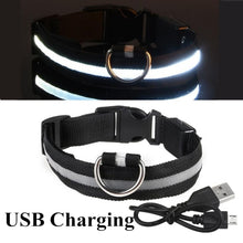 Load image into Gallery viewer, LED Glowing Collar
