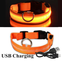Load image into Gallery viewer, LED Glowing Collar
