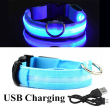 Load image into Gallery viewer, LED Glowing Collar
