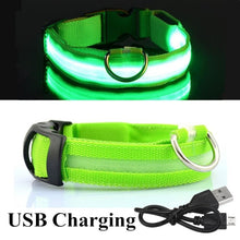 Load image into Gallery viewer, LED Glowing Collar
