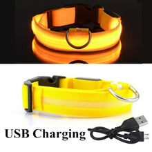 Load image into Gallery viewer, LED Glowing Collar
