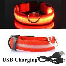 Load image into Gallery viewer, LED Glowing Collar

