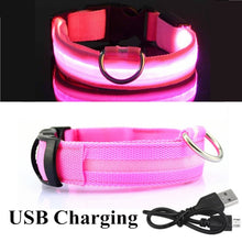 Load image into Gallery viewer, LED Glowing Collar

