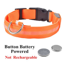 Load image into Gallery viewer, LED Glowing Collar
